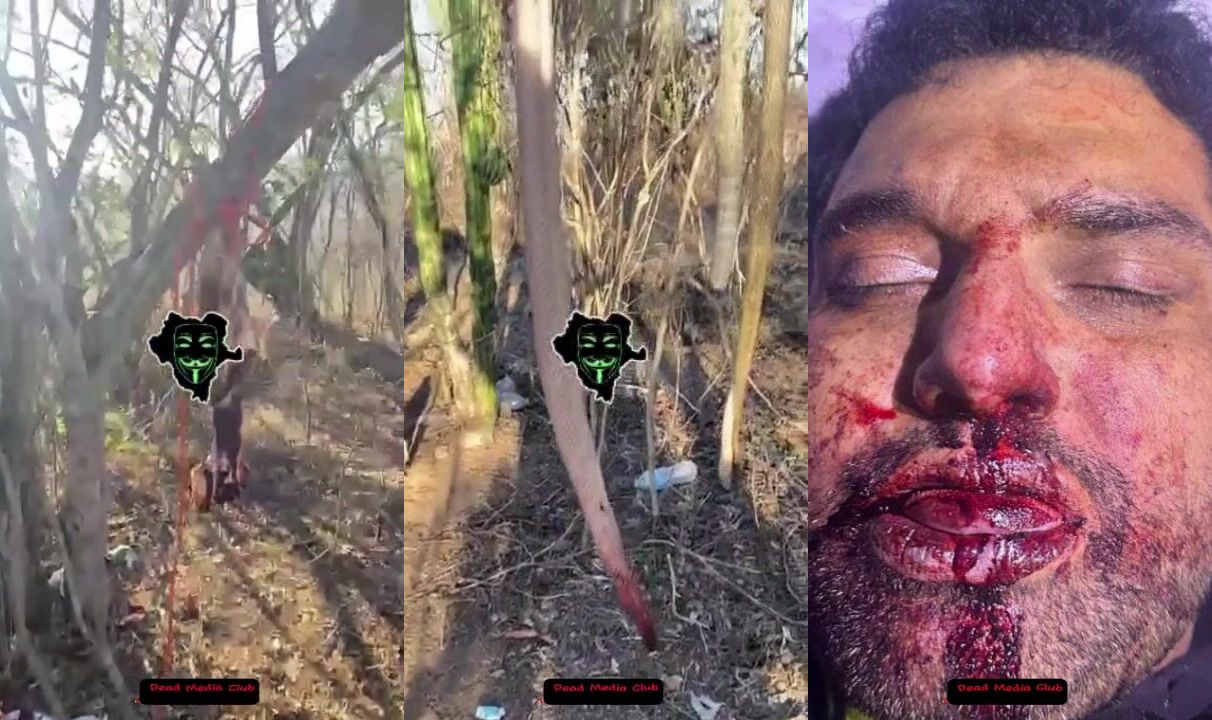 Several recent videos of the Chapiza and the 4L