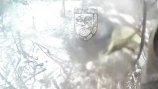 Ukraine’s “Chameleon Team” of the 93rd Separate Mechanized Brigade assaulted Russian