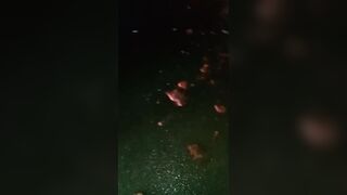 Moped Rider Turned Into A Road Pizza