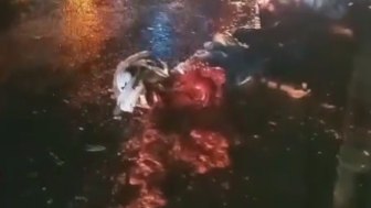 Moped Rider Turned Into A Road Pizza