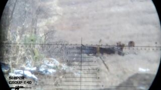 Ukrainian Sniper shot a Russian Soldier who was firing an RPG towards his position