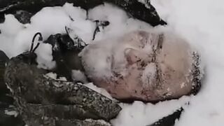 Just lying comfortably and dreaming