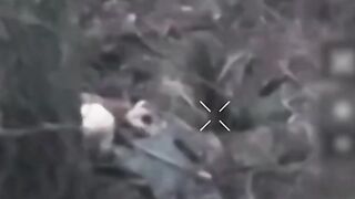 The Orc blew himself up with a grenade in the groin area