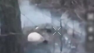 The Orc blew himself up with a grenade in the groin area