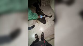 Missing Since FEB 5 Man Found Murdered And Decomposing In Dominican Republic