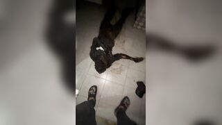 Missing Since FEB 5 Man Found Murdered And Decomposing In Dominican Republic