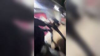 Thieves Beating Thieves In Argentina