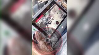Bruta Drone Attack