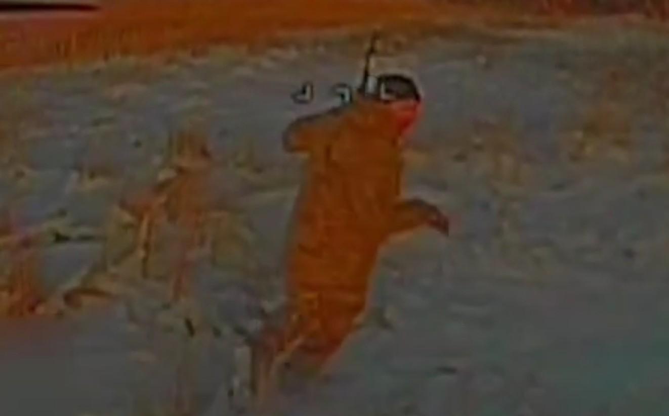 Killing Ukrainians + Executing a coward.