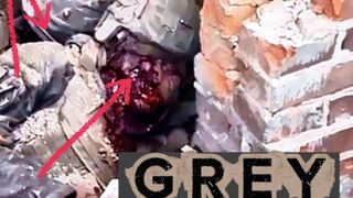 GREY // A Modern Conflict Comp