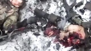 A short compilation of a shocking and brutal war