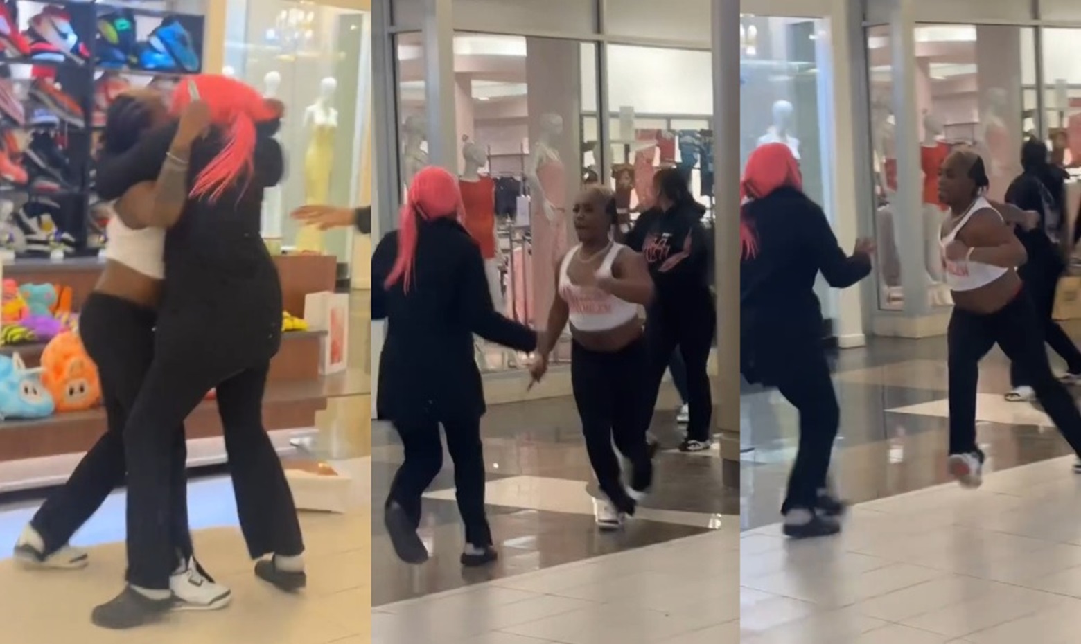 Three Women Stabbed During Fight at Walden Galleria Mall