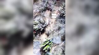 Mexican Cartel Borrows Middle East Terrorists' Brutal Tactics (Full Video)