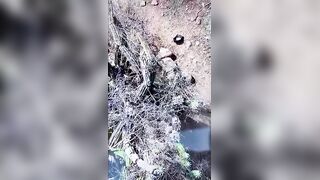 Mexican Cartel Borrows Middle East Terrorists' Brutal Tactics (Full Video)
