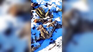 Frozen Ukrainians