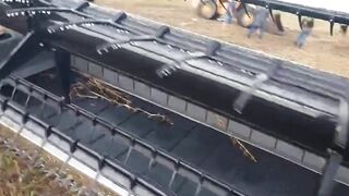 Agricultural Machinery Took His Life