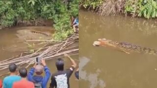 Woman Attacked And Killed By Crocodile In Indonesia