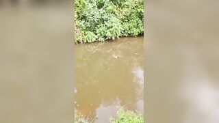 Woman Attacked And Killed By Crocodile In Indonesia