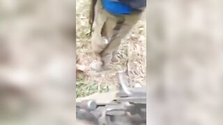 Terminated By Sicarios Rival Set Ablaze In Mexico