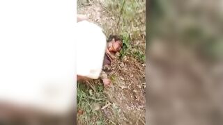 Terminated By Sicarios Rival Set Ablaze In Mexico