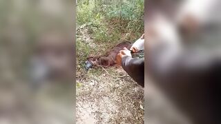Terminated By Sicarios Rival Set Ablaze In Mexico