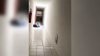 Man Stabbed GF To Death And Jumped Out Of The Window