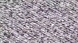 Russian soldiers taken out by Ukrainian 414th UAS Brigade Magyar's Birds