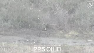 Ukrainian 225th Assault Regiment took out whole Russian infantry squads