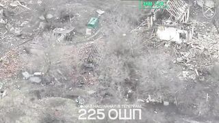 Ukrainian 225th Assault Regiment took out whole Russian infantry squads