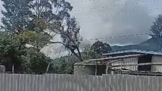 Man Electrocuted While Trimming Tree Near Power Line in Papua New Guinea