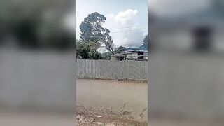 Man Electrocuted While Trimming Tree Near Power Line in Papua New Guinea