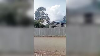 Man Electrocuted While Trimming Tree Near Power Line in Papua New Guinea