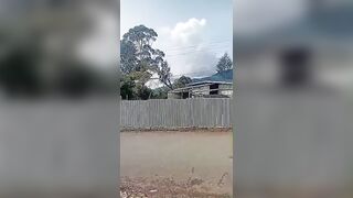 Man Electrocuted While Trimming Tree Near Power Line in Papua New Guinea