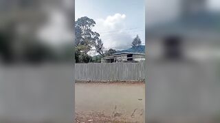 Man Electrocuted While Trimming Tree Near Power Line in Papua New Guinea