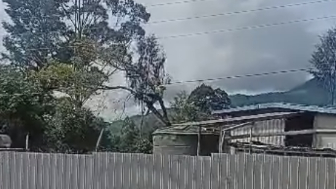 Man Electrocuted While Trimming Tree Near Power Line in Papua New Guinea