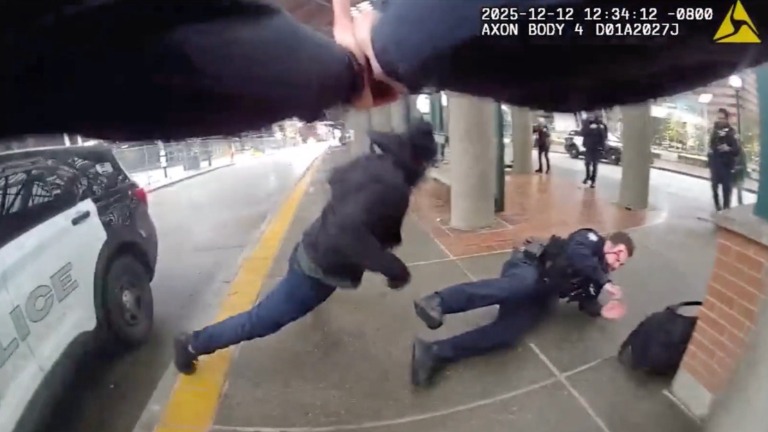 Suspect Stabs Officer After Luring Bellevue Police With Fake 911 Call: Bodycam