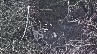 An Orc lost both legs, so he solved it with a grenade (full)