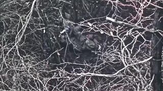 An Orc lost both legs, so he solved it with a grenade (full)