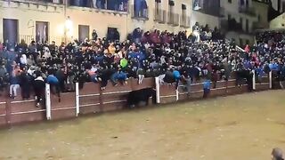 Man Dies After Being Gored by Bull at Spanish Bullfighting Event