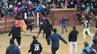 Man Dies After Being Gored by Bull at Spanish Bullfighting Event