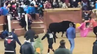 Man Dies After Being Gored by Bull at Spanish Bullfighting Event