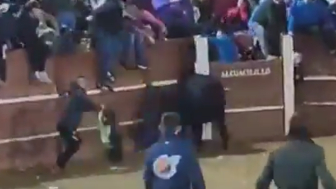 Man Dies After Being Gored by Bull at Spanish Bullfighting Event