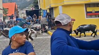 Your Weekly Reminder to Stop Fucking With Bulls