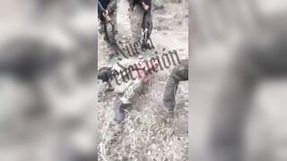 Dude Hacked Alive With Machete By Cartel (Extended & W/Sound)