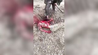Dude Hacked Alive With Machete By Cartel (Extended & W/Sound)