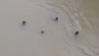 Man Drowns While Swimming With Friends In A Muddy African River