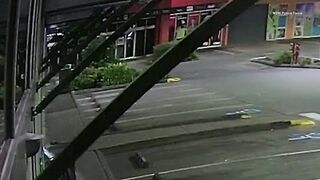 Australian Arsonist Accidentally Sets Himself Ablaze