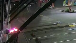 Australian Arsonist Accidentally Sets Himself Ablaze