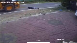 Man Gets Run Over By Crane In India, Dies