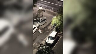 In St. Petersburg, a mob of crazed foreigners brutally beat up two RU men